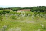 Zemljiste, Poreč, prodaja, 114000 €, 1000 m2