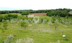 Zemljiste, Poreč, prodaja, 114000 €, 1000 m2