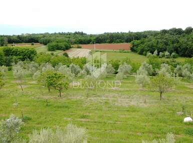 Zemljiste, Poreč, prodaja, 114000 €, 1000 m2