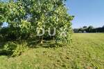 Zemljiste, Medulin, prodaja, 150000 €, 1507 m2