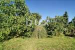 Zemljiste, Medulin, prodaja, 150000 €, 1507 m2