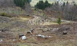 Zemljiste, Mrkopalj, Sunger, prodaja, 500000 €, 6000 m2