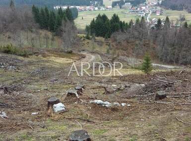 Zemljiste, Mrkopalj, Sunger, prodaja, 500000 €, 6000 m2