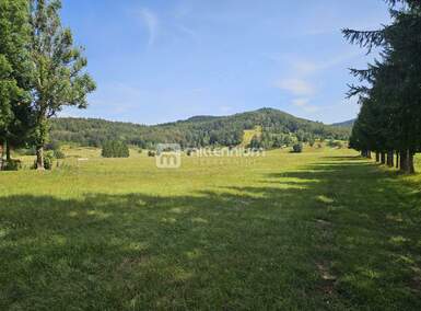 Zemljiste, Ravna Gora, Stari Laz, prodaja, 150000 €, 4440 m2