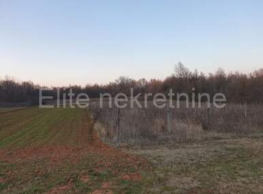 Zemljiste, Barban, prodaja, 47500 €, 12919 m2