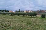 Zemljiste, Novigrad, prodaja, 205000 €, 0 m2