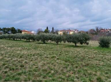 Zemljiste, Novigrad, prodaja, 205000 €, 0 m2