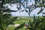 Kuca, Buje, prodaja, 390000 €, 150 m2