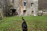 Kuca, Klana, prodaja, 130000 €, 139 m2