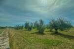 Zemljiste, Umag, prodaja, 360000 €, 10292 m2