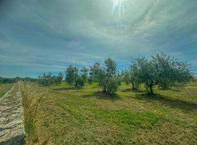 Zemljiste, Umag, prodaja, 360000 €, 10292 m2