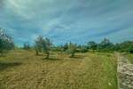 Zemljiste, Umag, prodaja, 360000 €, 10292 m2