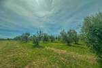 Zemljiste, Umag, prodaja, 360000 €, 10292 m2