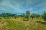 Zemljiste, Umag, prodaja, 360000 €, 10292 m2