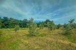 Zemljiste, Umag, prodaja, 360000 €, 10292 m2