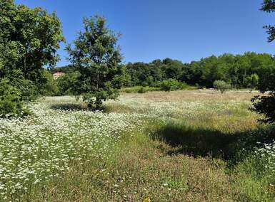 Zemljiste, Labin, prodaja, 142000 €, 1652 m2