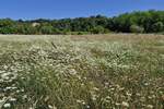 Zemljiste, Labin, prodaja, 142000 €, 1652 m2