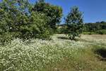 Zemljiste, Labin, prodaja, 142000 €, 1652 m2