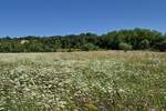 Zemljiste, Labin, prodaja, 142000 €, 1652 m2