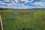 Zemljiste, Biograd na Moru, prodaja, 97300 €, 6950 m2