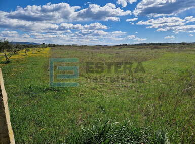 Zemljiste, Biograd na Moru, prodaja, 97300 €, 6950 m2