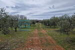 Zemljiste, Benkovac, prodaja, 200000 €, 27292 m2