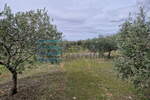 Zemljiste, Benkovac, prodaja, 200000 €, 27292 m2