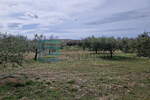 Zemljiste, Benkovac, prodaja, 200000 €, 27292 m2