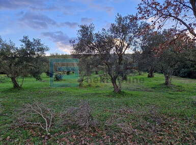 Zemljiste, Sukošan, prodaja, 169500 €, 1128 m2