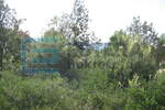 Zemljiste, Stari Grad, prodaja, 70000 €, 442 m2