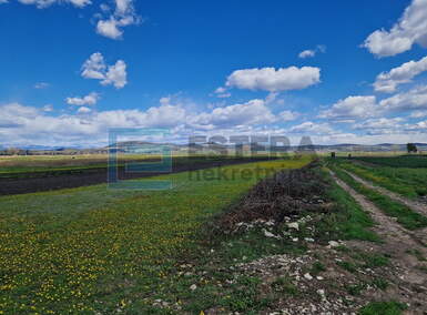 Zemljiste, Biograd na Moru, prodaja, 69700 €, 4981 m2