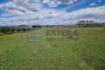 Zemljiste, Biograd na Moru, prodaja, 56400 €, 4034 m2