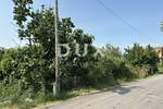 Zemljiste, Zadar, Crvene kuće, prodaja, 375000 €, 1830 m2
