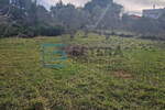 Zemljiste, Pakoštane, prodaja, 85000 €, 649 m2