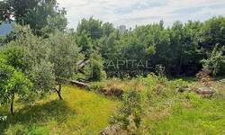 Jednosoban stan, Rijeka, Banderovo, prodaja, 84000 €, 21 m2