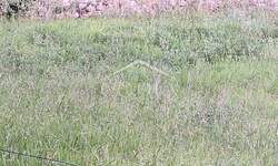 Zemljiste, Vinodol, Bribir, prodaja, 124500 €, 755 m2