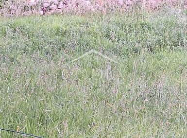 Zemljiste, Vinodol, Bribir, prodaja, 124500 €, 755 m2