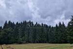 Zemljiste, Mrkopalj, Sunger, prodaja, 204000 €, 2400 m2