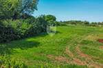 Zemljiste, Brtonigla, prodaja, 150000 €, 619 m2