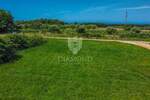 Zemljiste, Brtonigla, prodaja, 150000 €, 619 m2