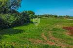 Zemljiste, Brtonigla, prodaja, 150000 €, 619 m2