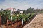 Kuca, Fažana, prodaja, 450000 €, 80 m2