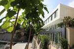 Kuca, Rijeka, Kantrida, prodaja, 6000000 €, 550 m2