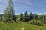 Zemljiste, Ravna Gora, prodaja, 40000 €, 11500 m2