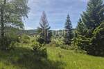 Zemljiste, Ravna Gora, prodaja, 40000 €, 11500 m2