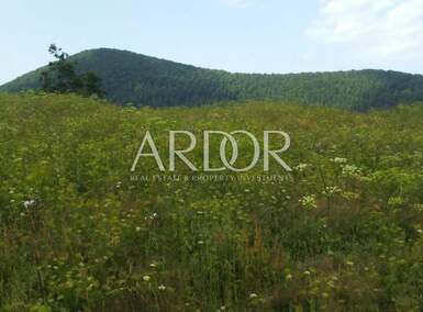 Zemljiste, Mrkopalj, Begovo Razdolje, prodaja, 282000 €, 4920 m2