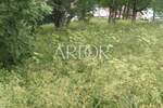 Zemljiste, Mrkopalj, Begovo Razdolje, prodaja, 286000 €, 5000 m2