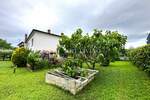 Kuca, Umag, prodaja, 515000 €, 278 m2
