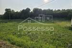 Zemljiste, Buzet, Ročko Polje, prodaja, 31255 €, 893 m2