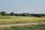 Zemljiste, Buzet, Ročko Polje, prodaja, 31255 €, 893 m2
